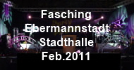 Fasching Ebermannstadt 2011