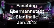 Fasching Ebermannstadt 2012